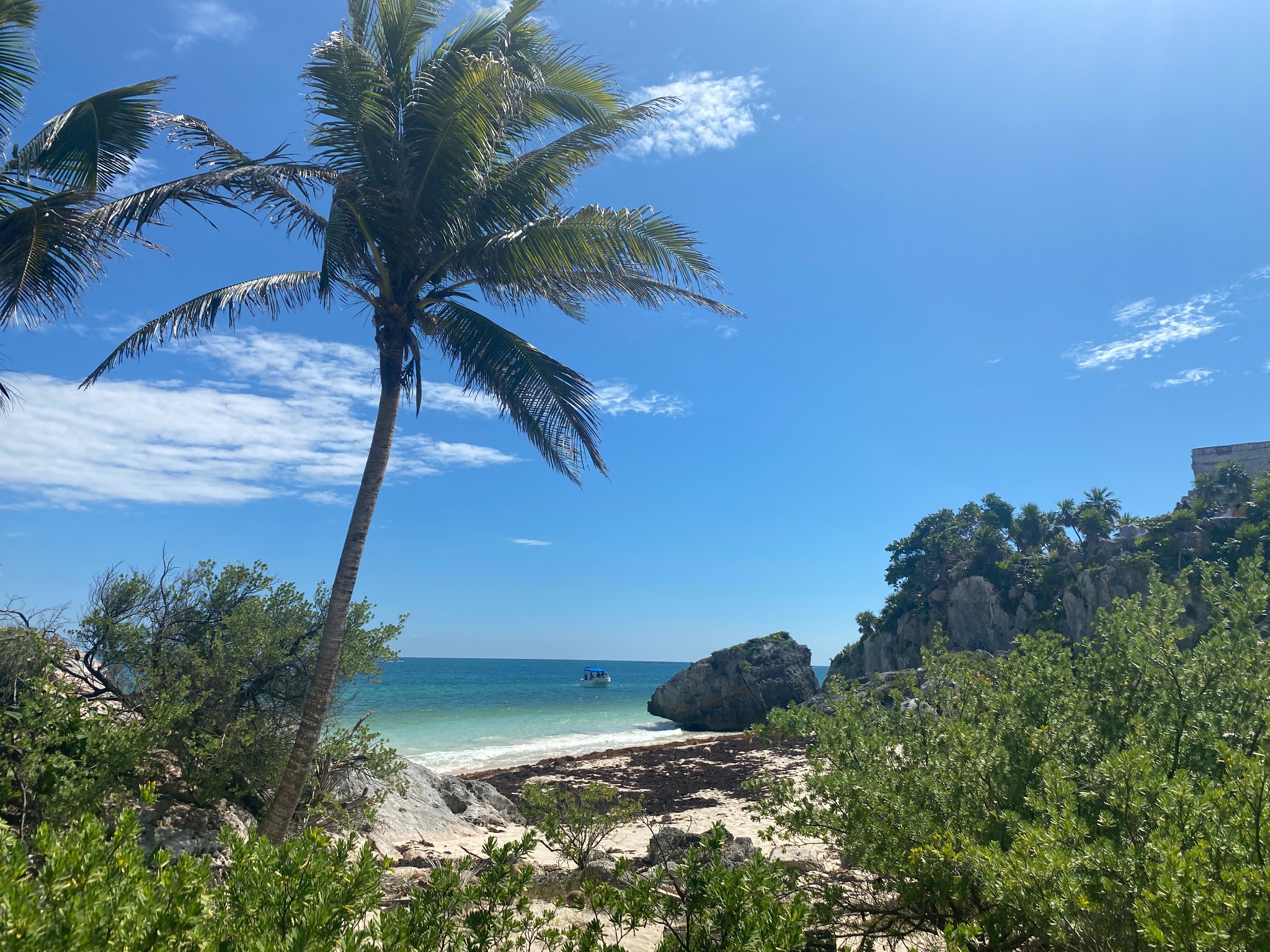 Tropical coast in Mexico